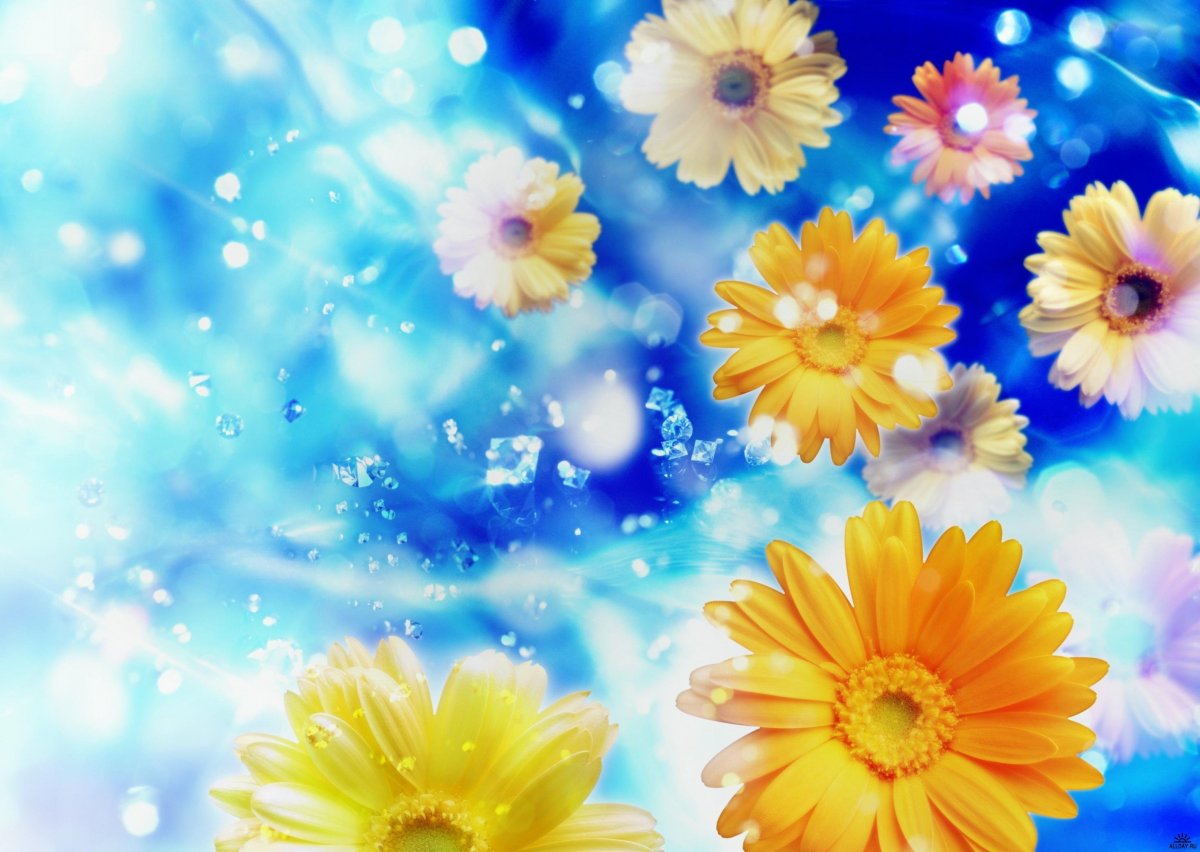 Цветочный фон