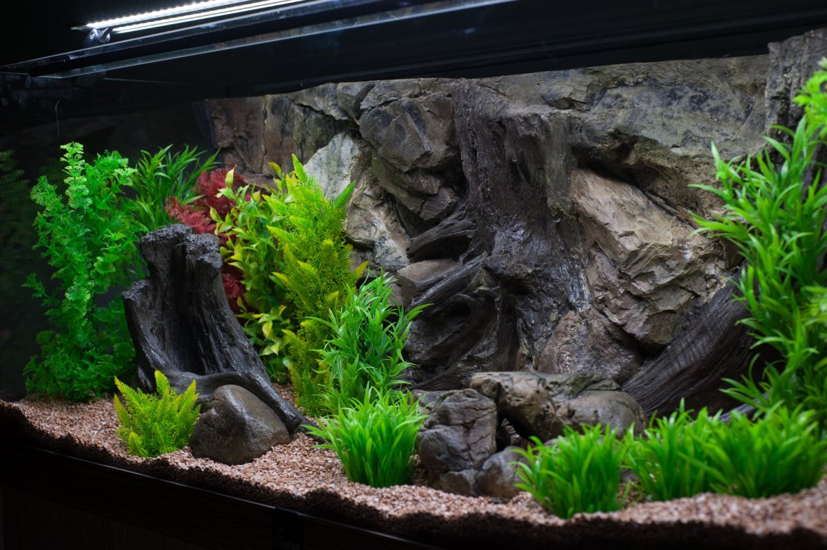 3д фон для аквариума