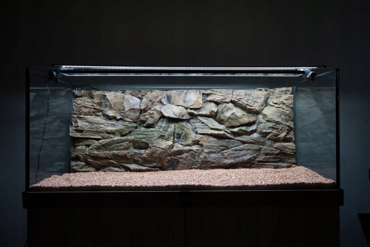 Объемный фон для аквариума