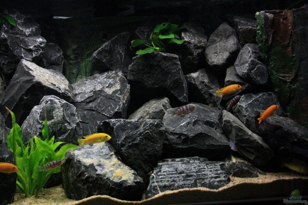 Акваскейп диабаз