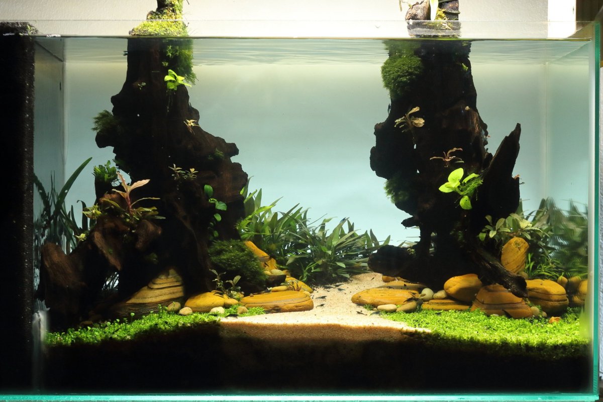 Прозрачный матовый фон для аквариума