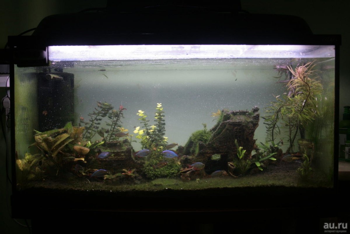 Матовая пленка для аквариума