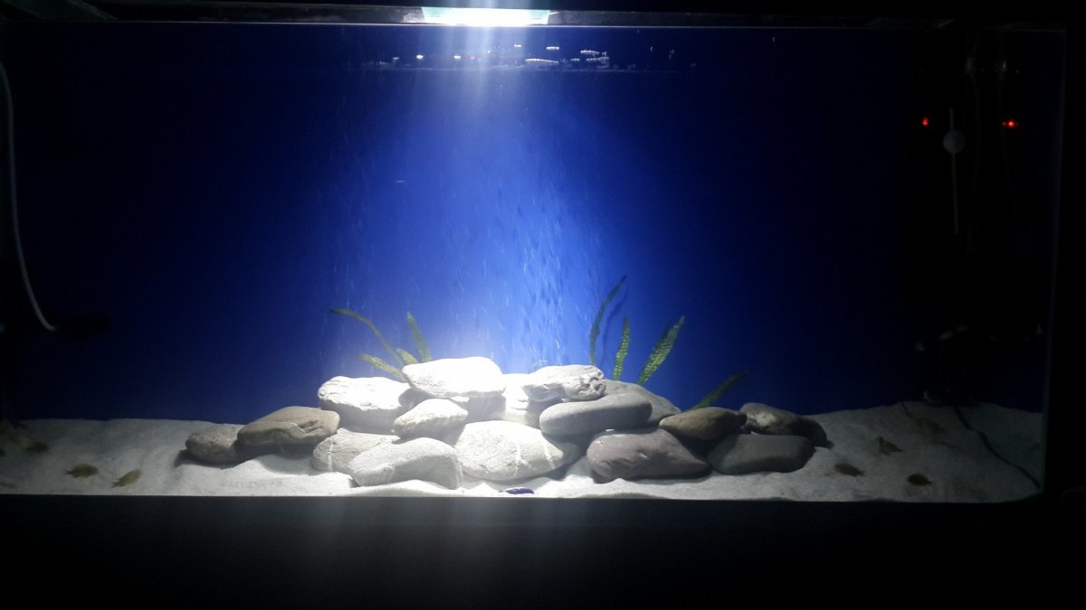 Прозрачный матовый фон для аквариума