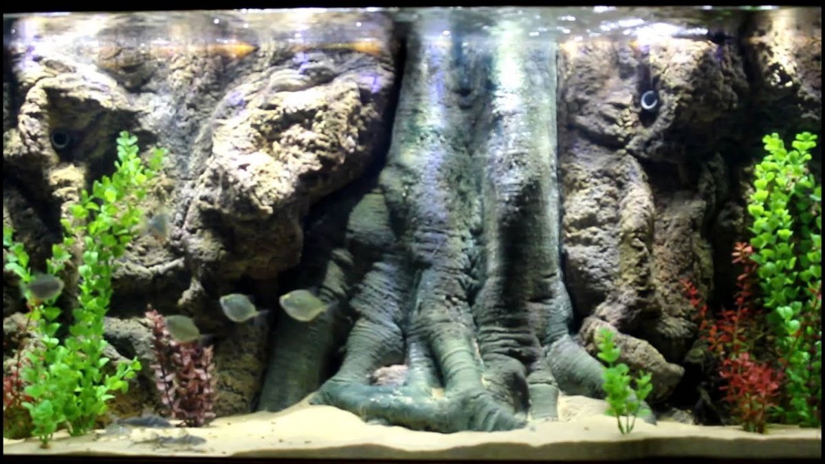 Аквариумный фон для печати