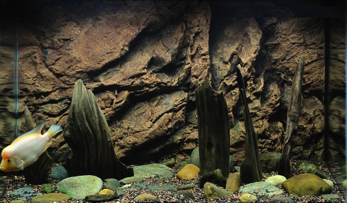 Фон для аквариума