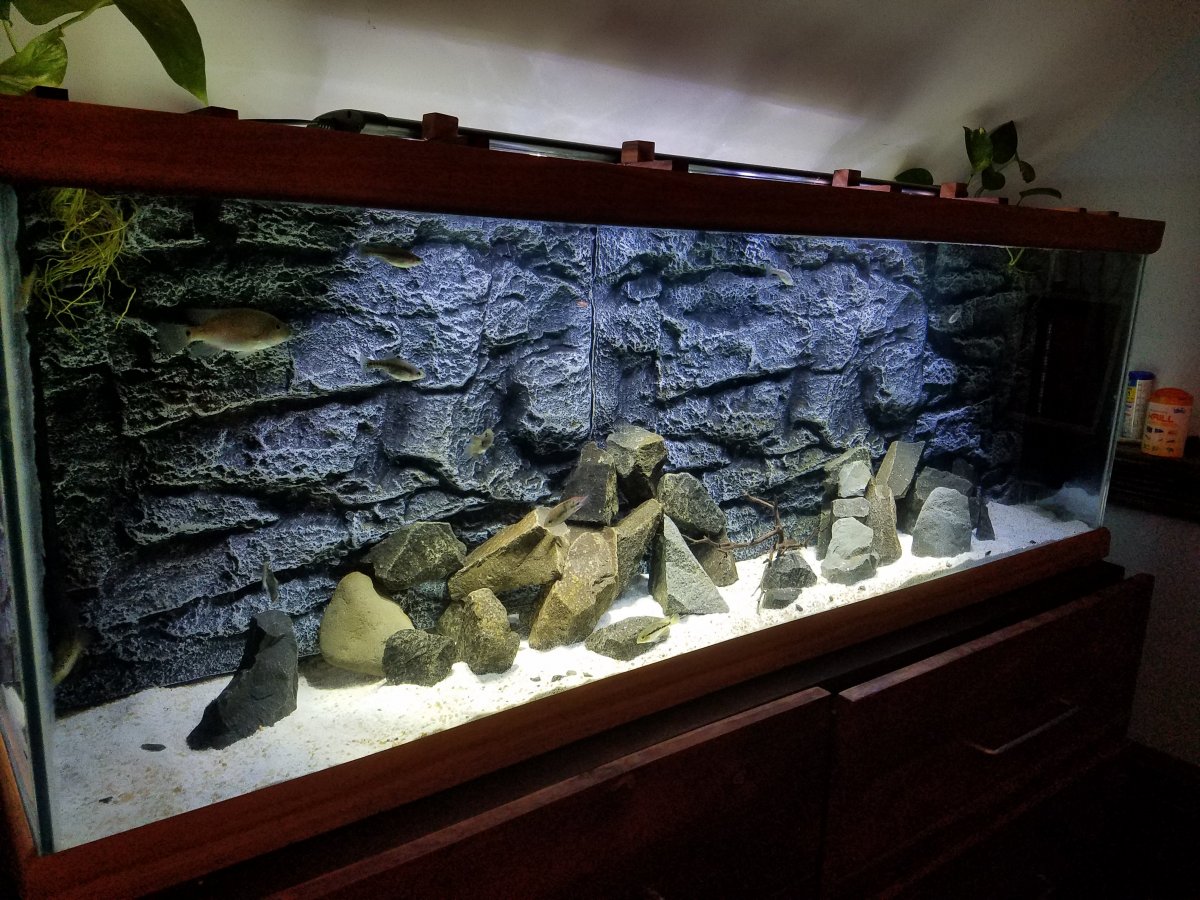 Задний фон для аквариума рельефный