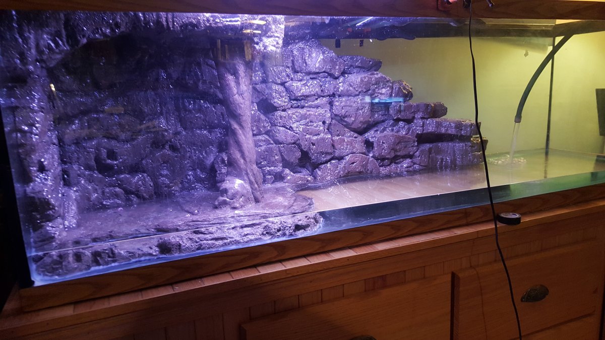 3д фон для аквариума