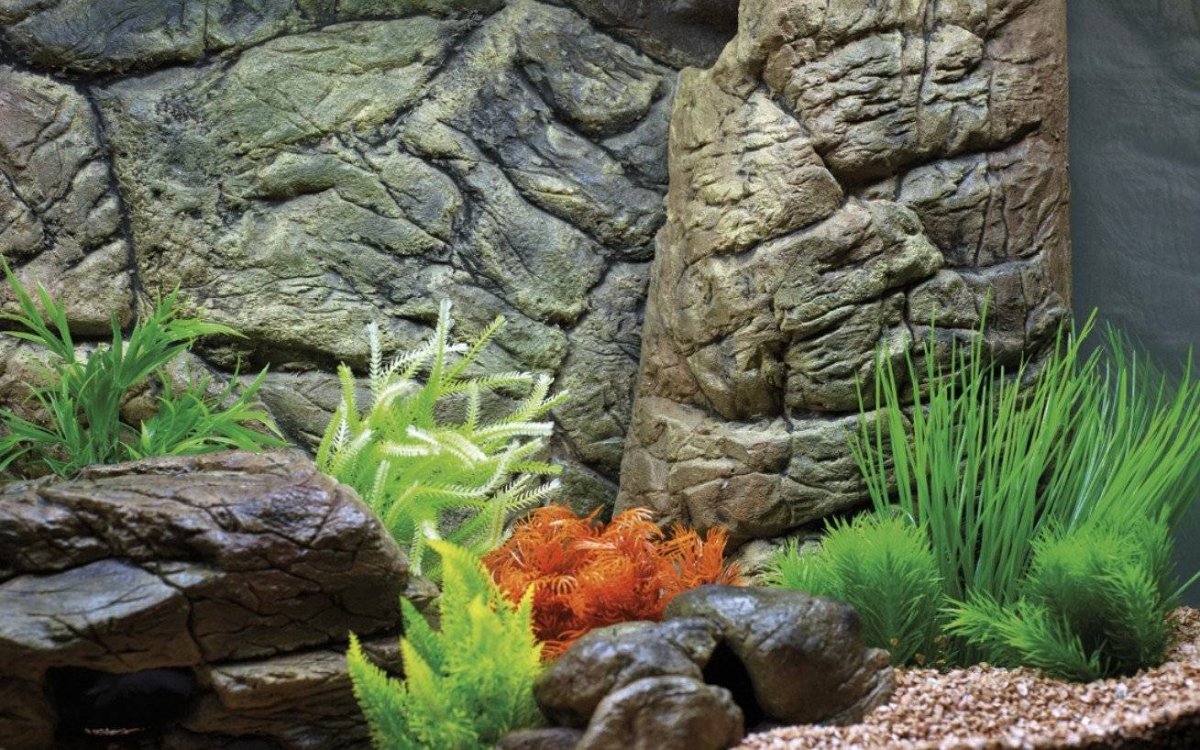 Задник для аквариума