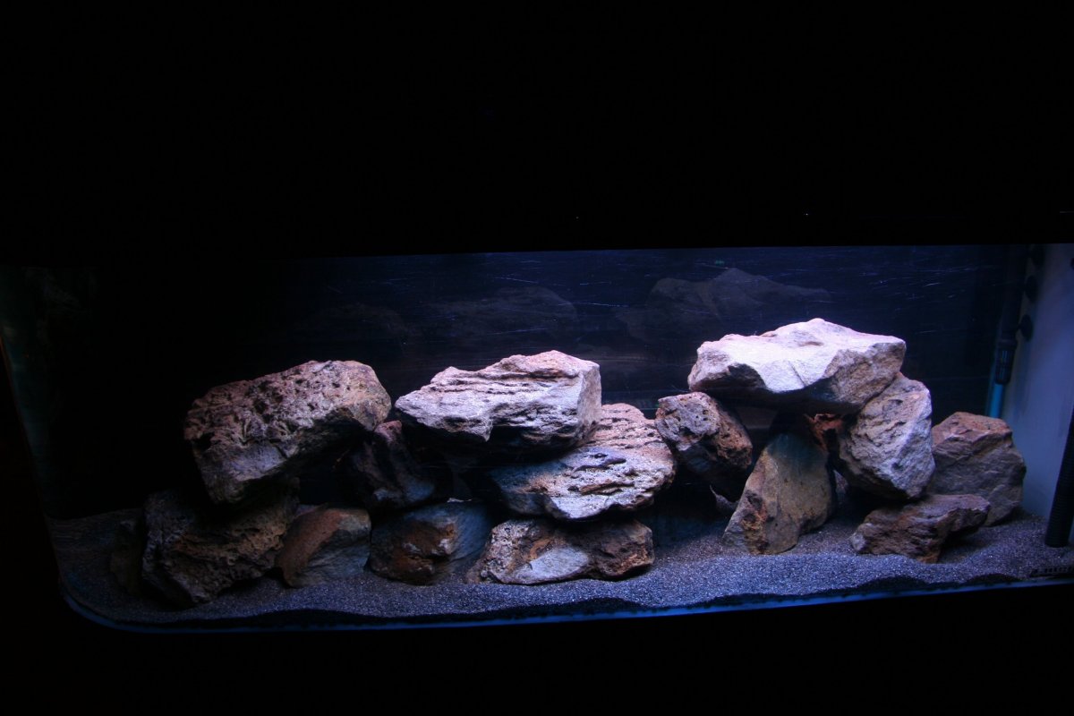 Аквариум цихлидник черный грунт