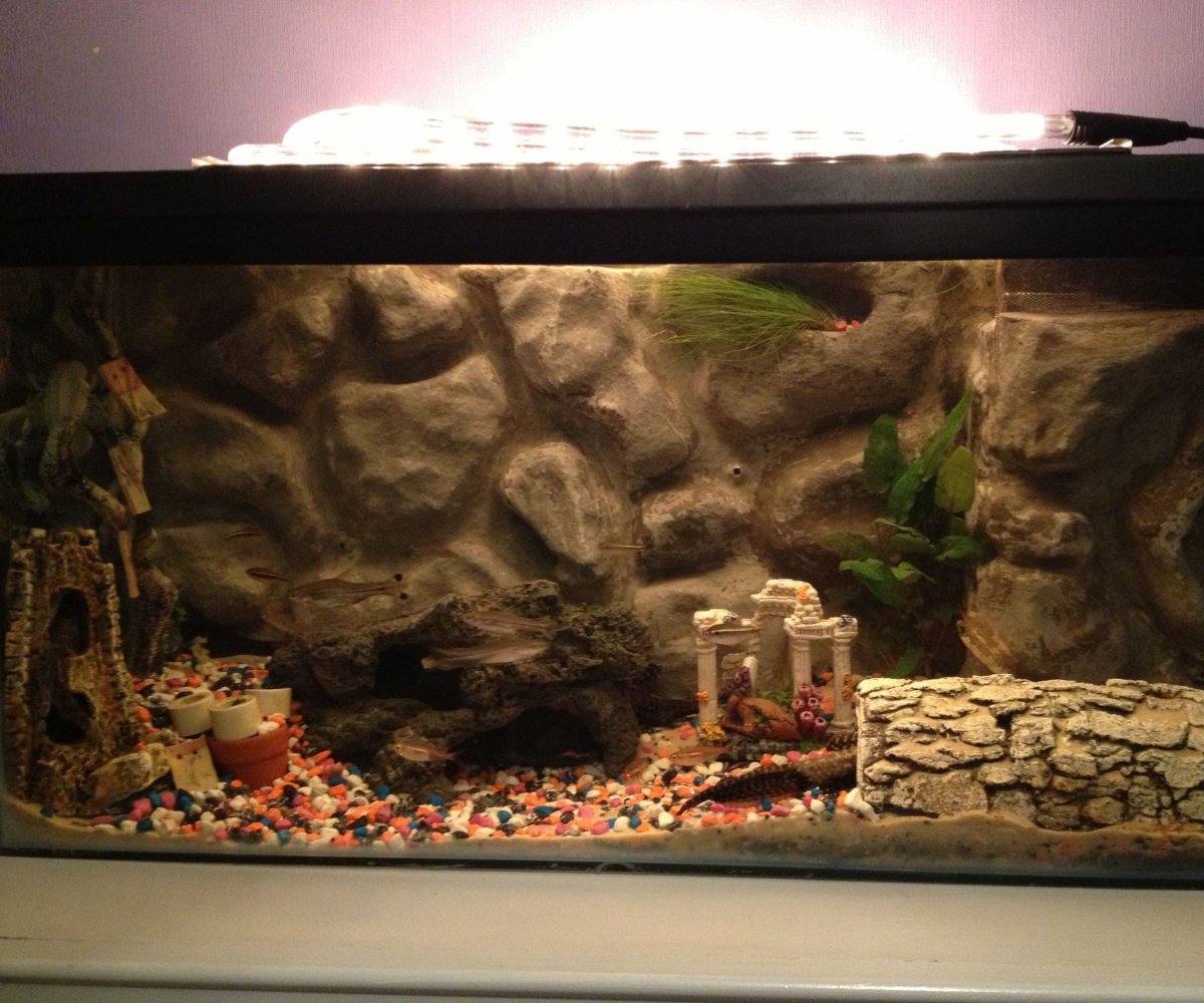 Фон для аквариума своими руками