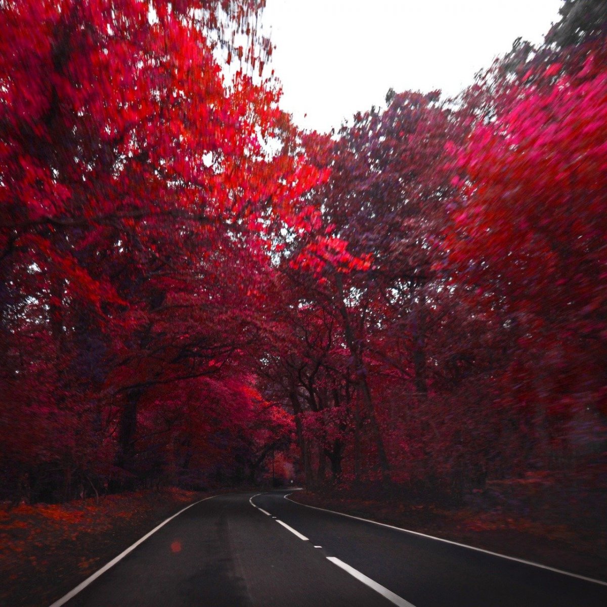 Эстетика красного цвета