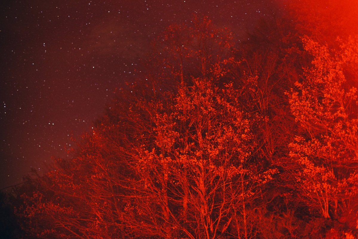 Эстетика красного