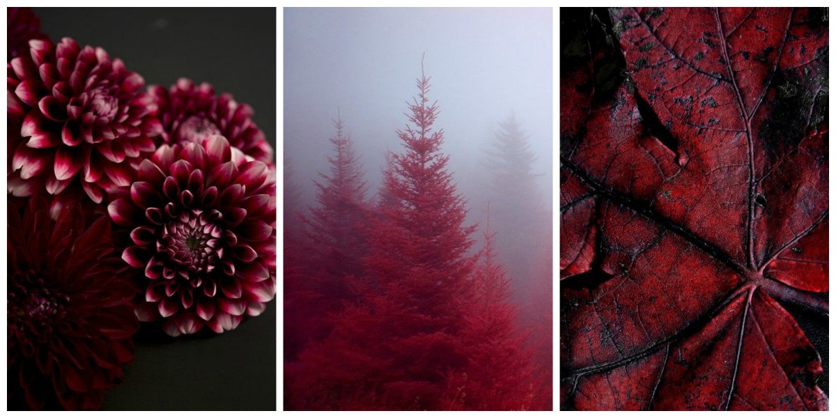 Темный закат