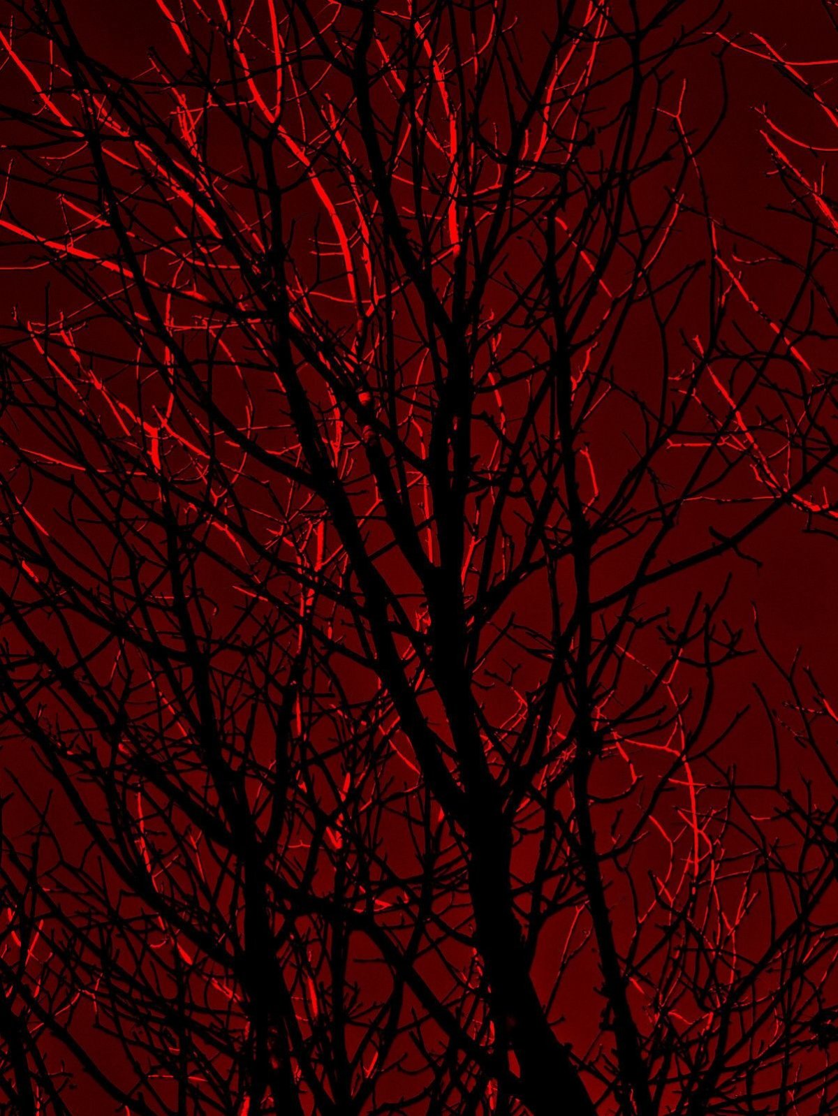 Эстетика красного цвета