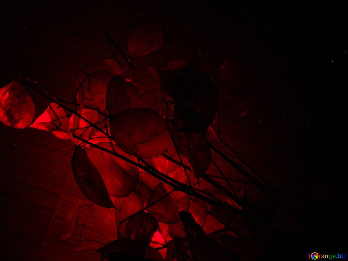 Красивый красно черный фон