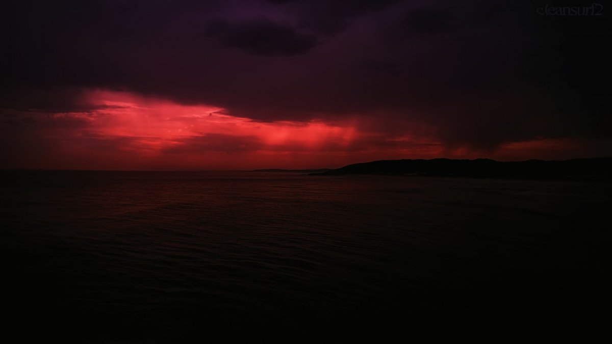 Красные цветы на черном фоне