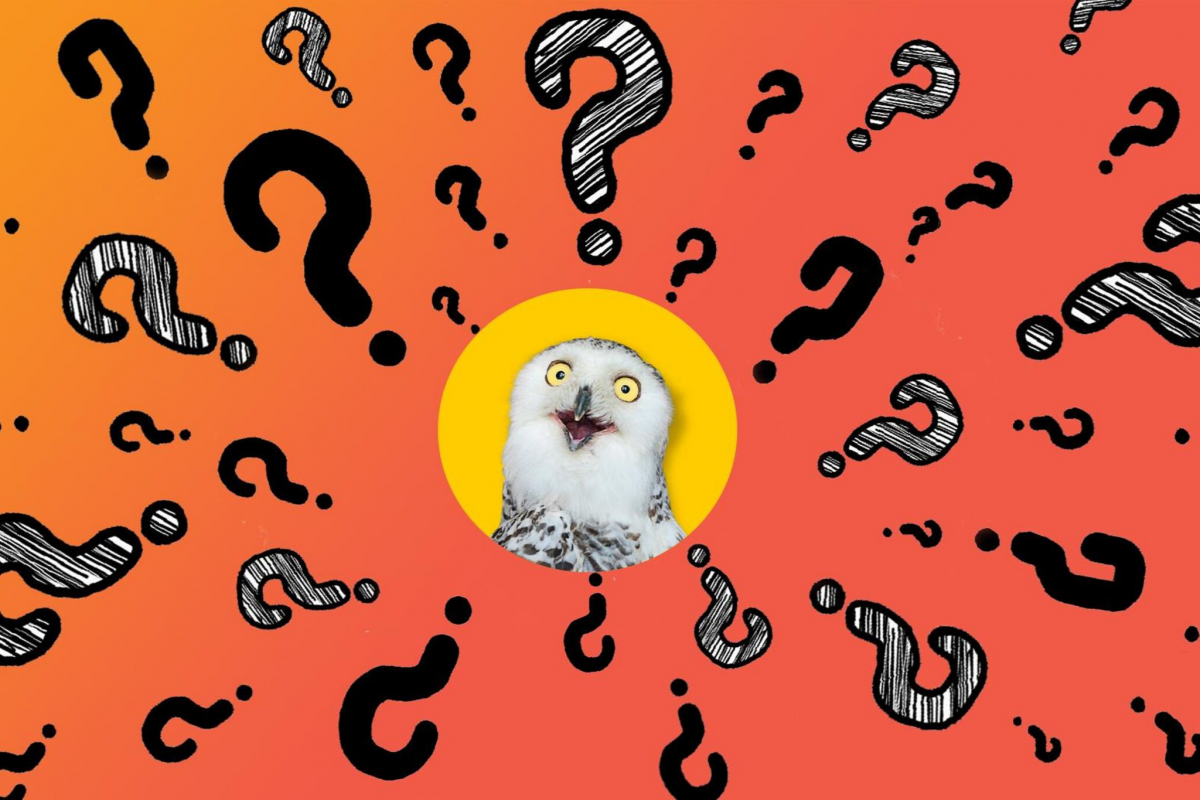 Фон для квиза презентация