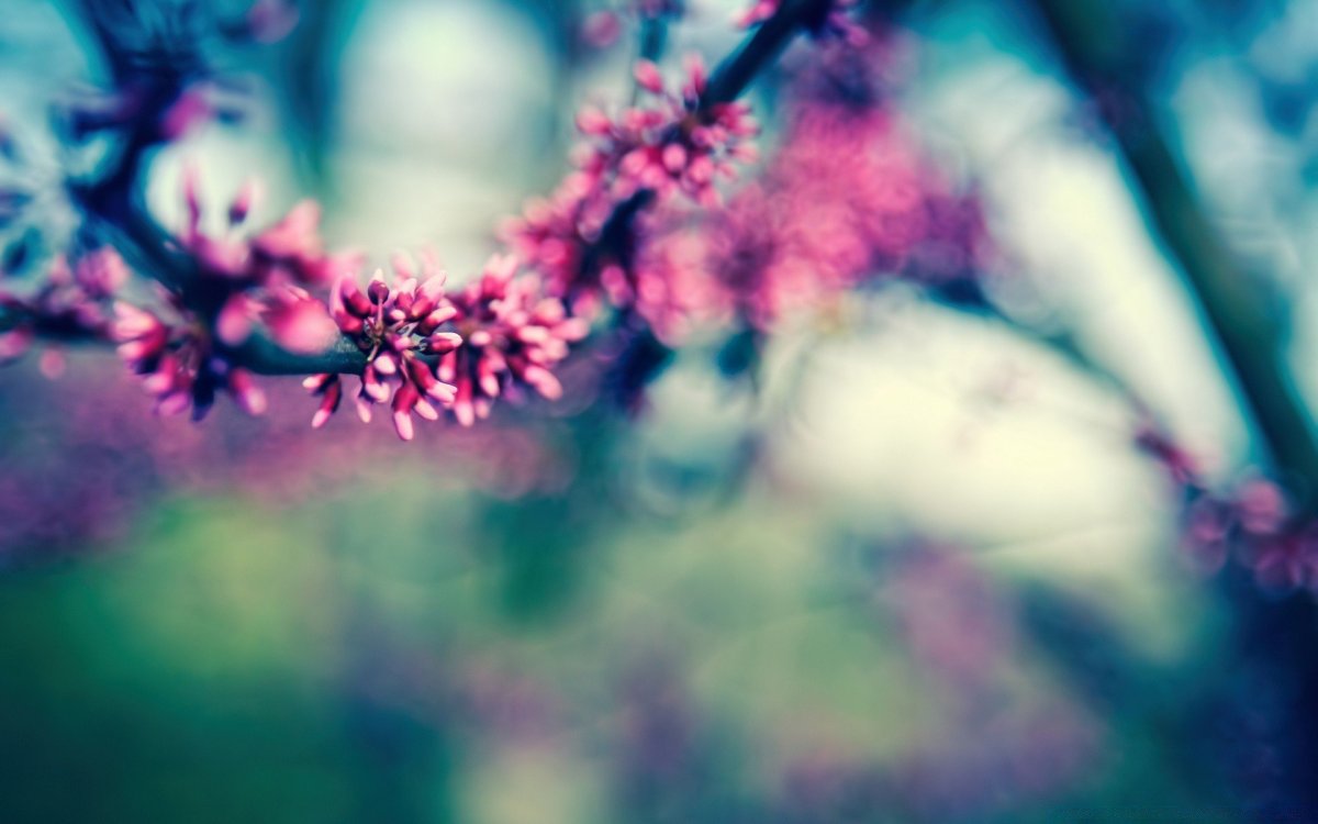 Красивые обложки для сообщества