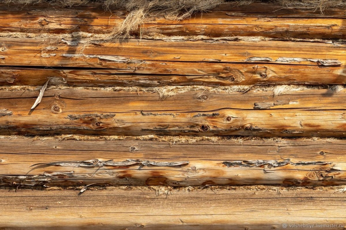Стена из бревен