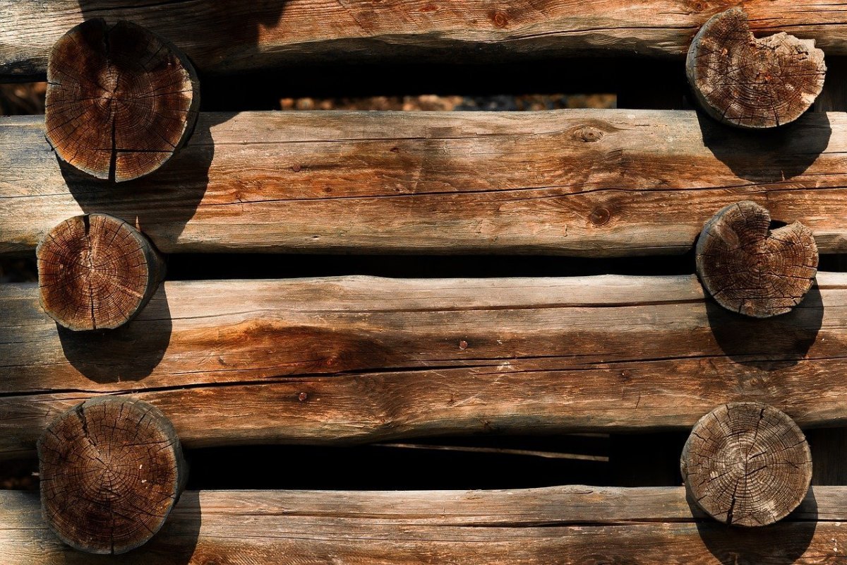 Текстура бревна