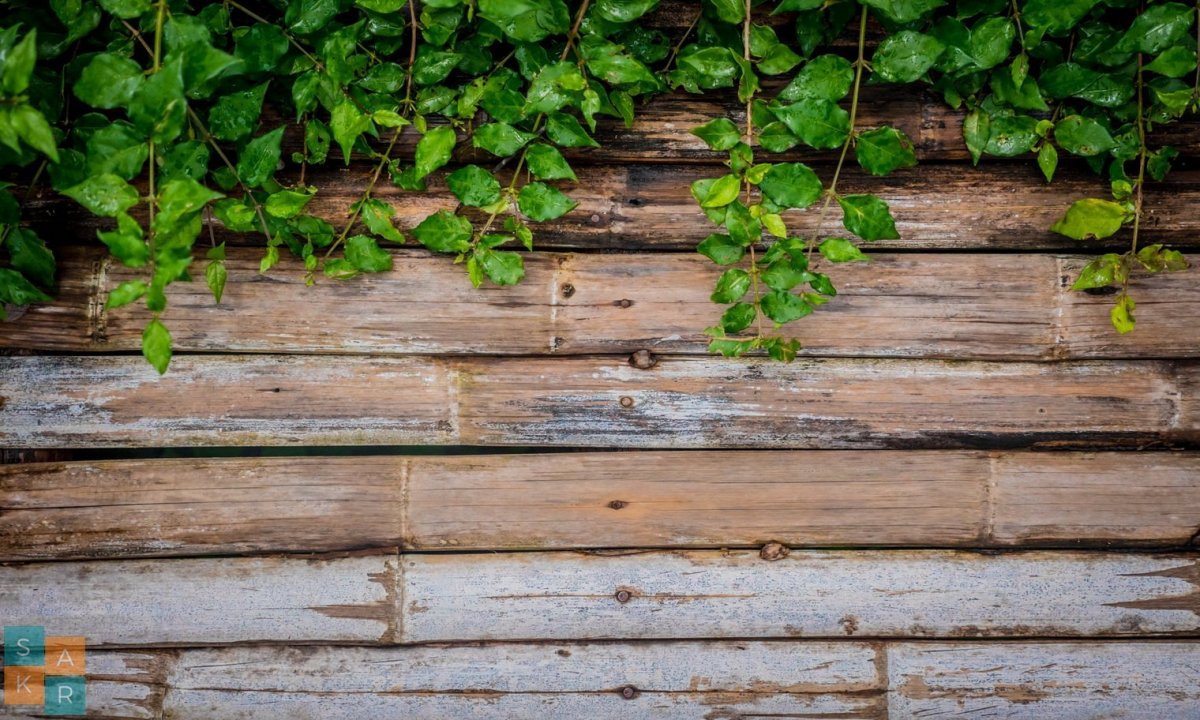 Деревянная стена фон