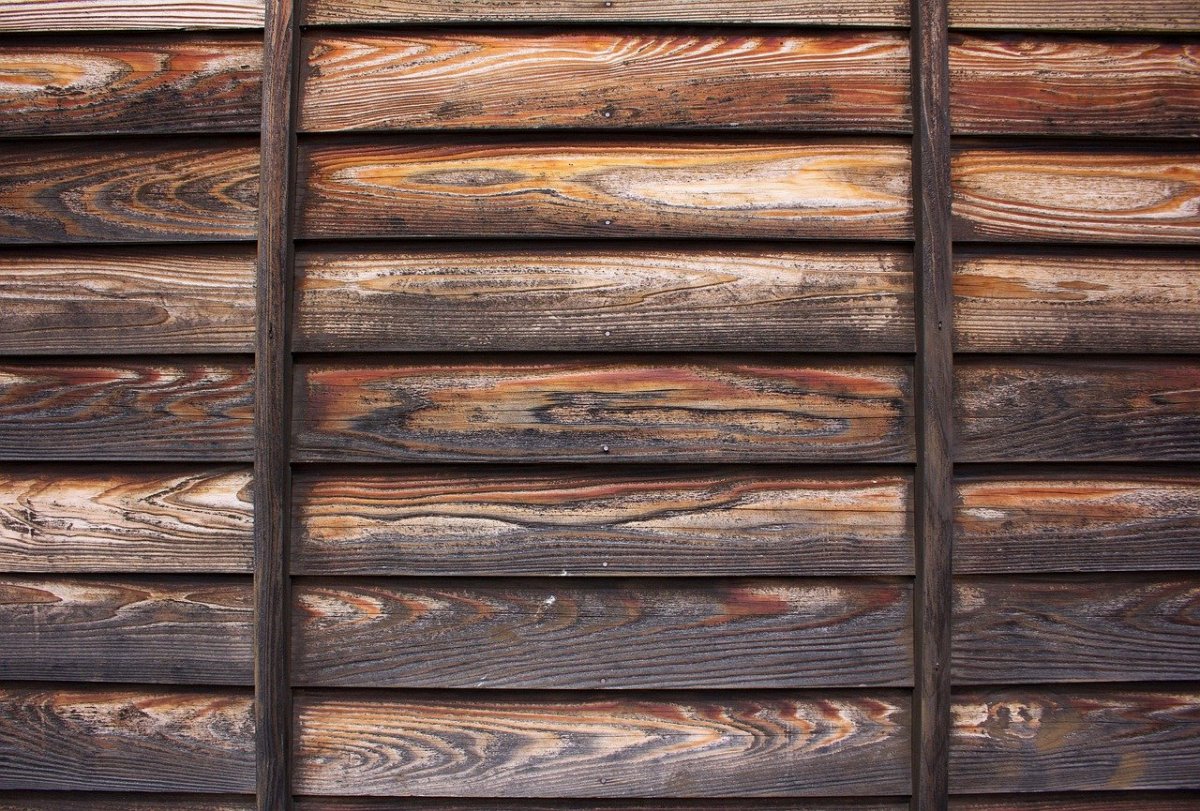 Дерево текстура доски бревна