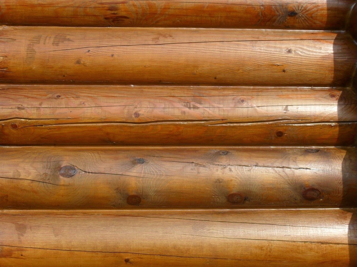 Бревенчатая стена