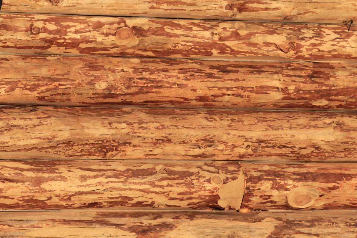 Оцилиндрованное бревно текстура