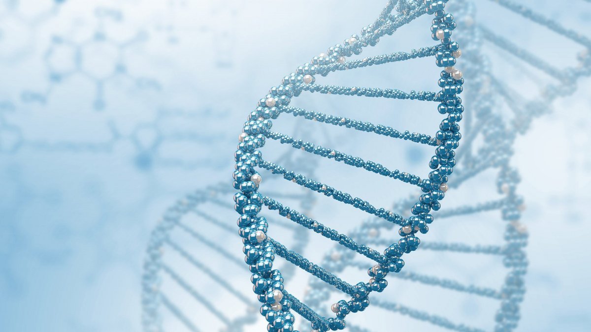 Молекула ДНК