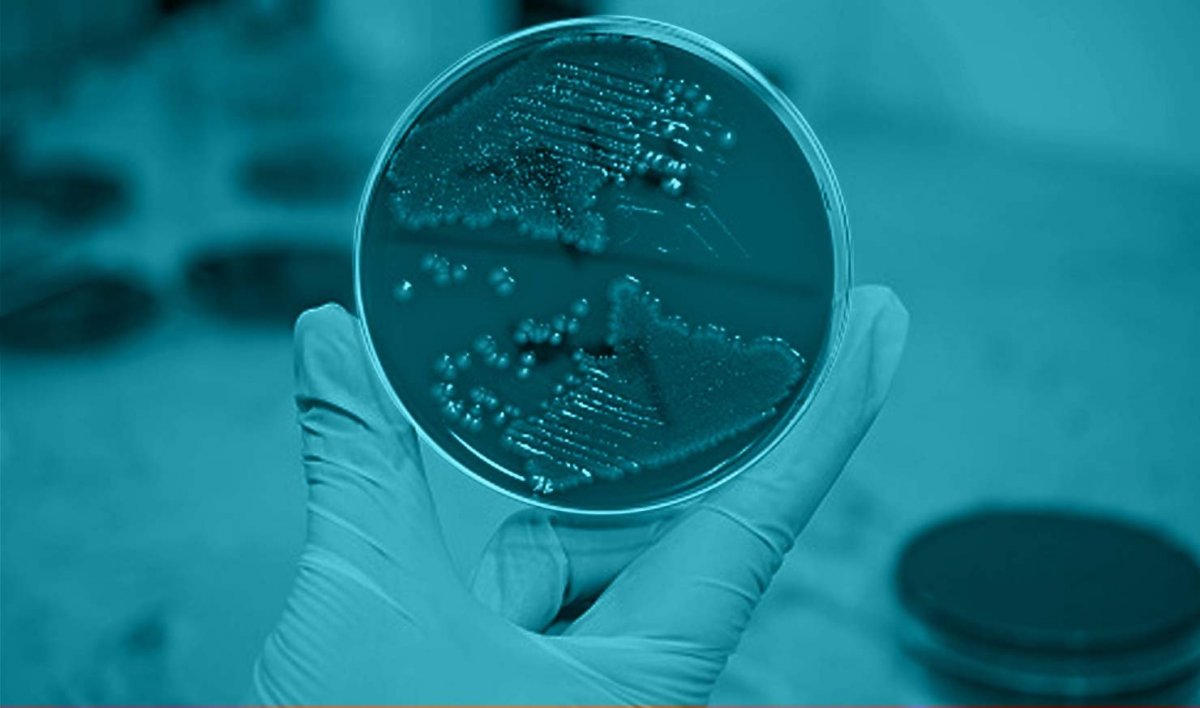 Микробиология Эстетика