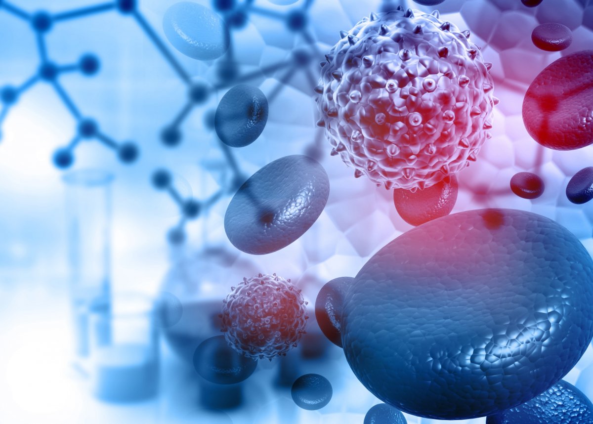 РМА иммунология