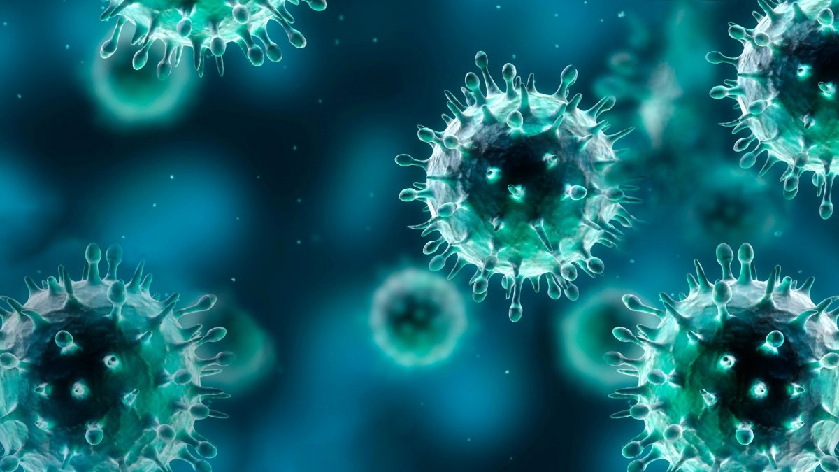 Микробиология обои