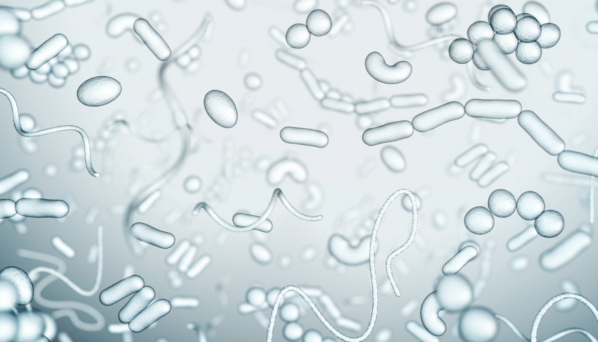 Микробиология фон