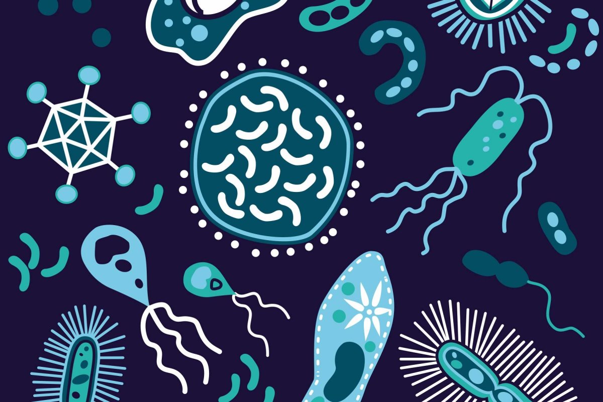 Бактерии иллюстрация