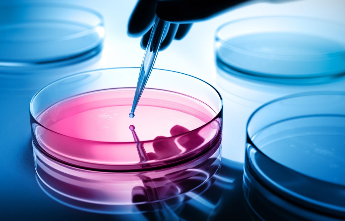 Микробы фон