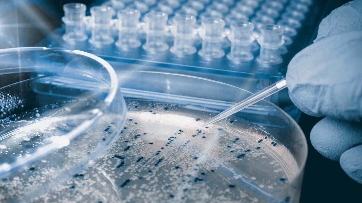 Фон для презентации по микробиологии