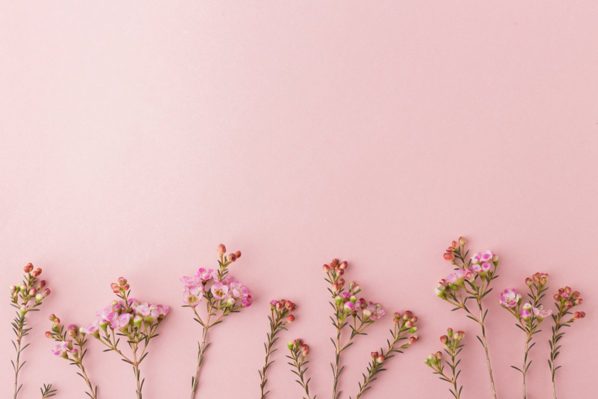 Цветочный Минимализм