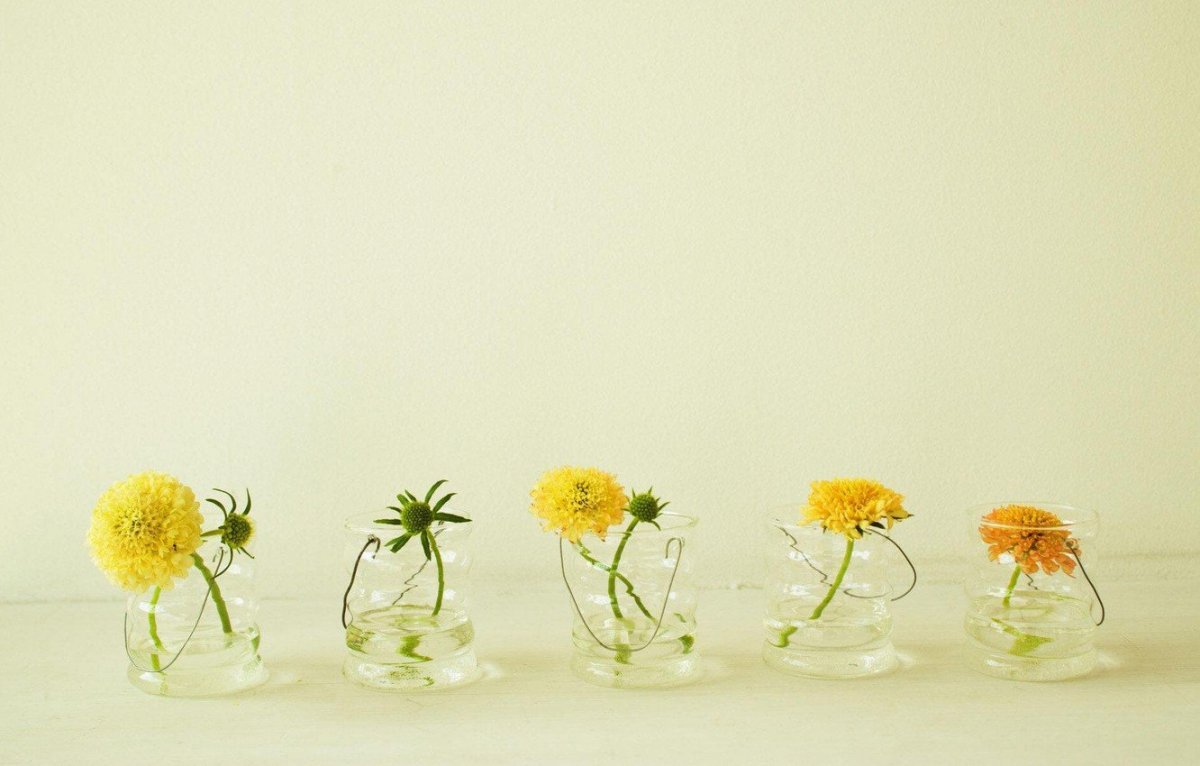 Цветы Минимализм