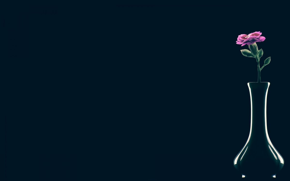 Цветы Минимализм