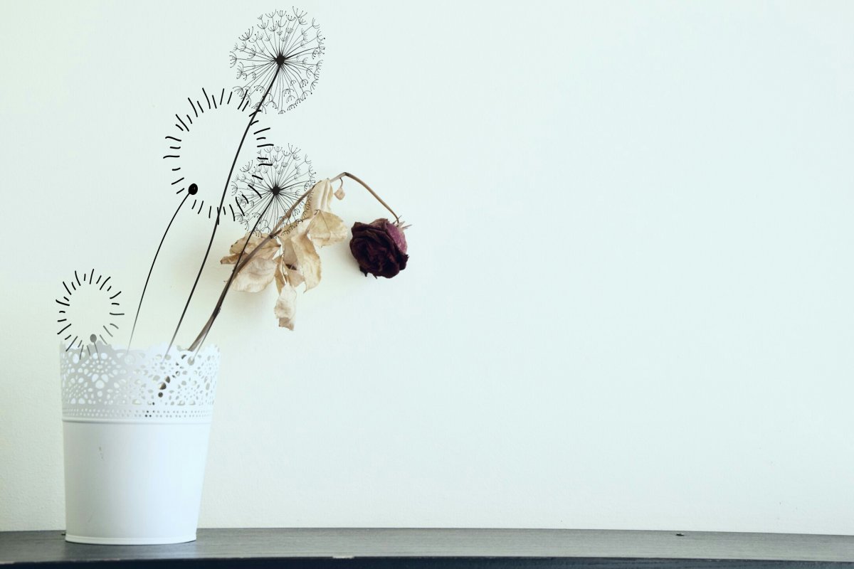 Цветы Минимализм