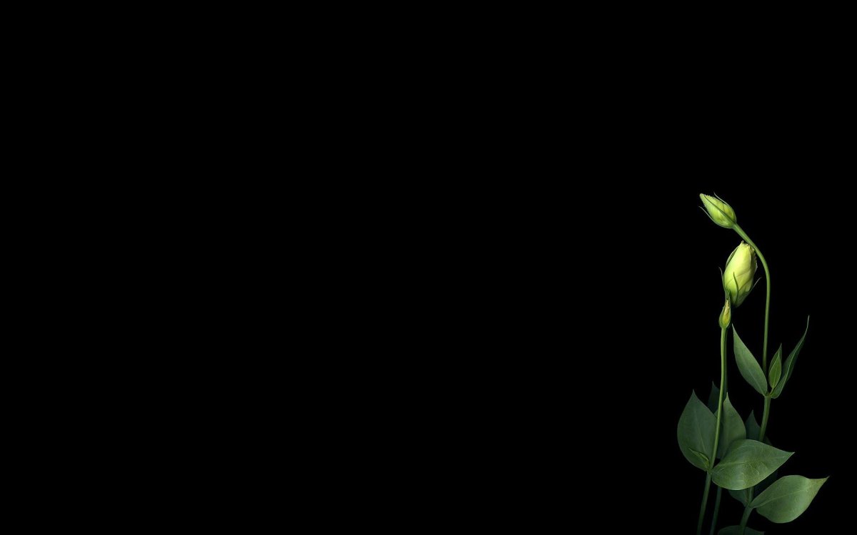 Узоры Минимализм