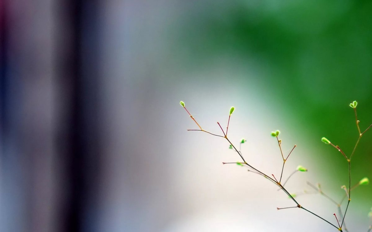 Иллюстрации Минимализм