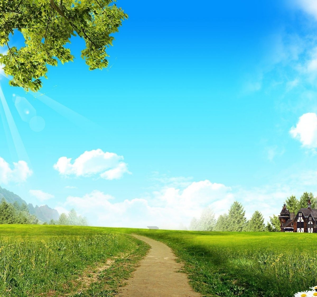 Баннер с изображением природы