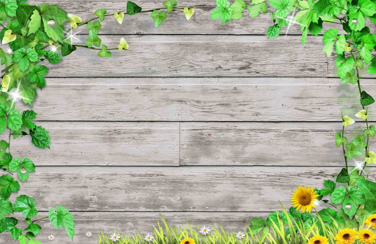 Деревянная стена с зеленью