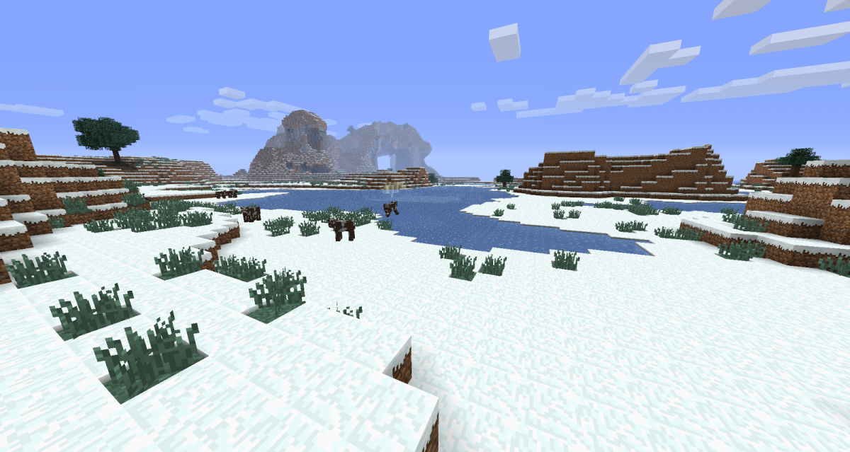 Биом зима майнкрафт