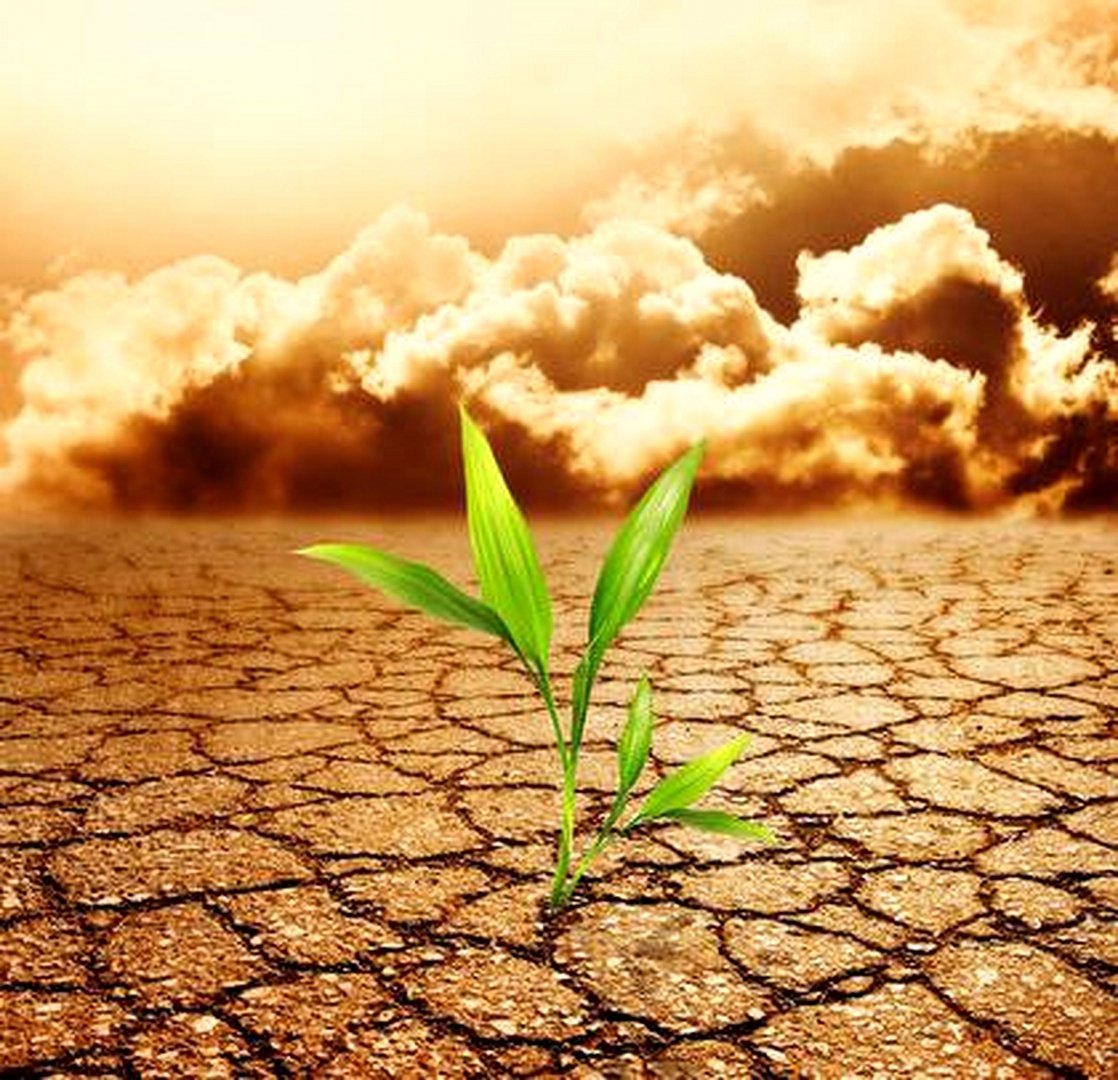 День химической безопасности