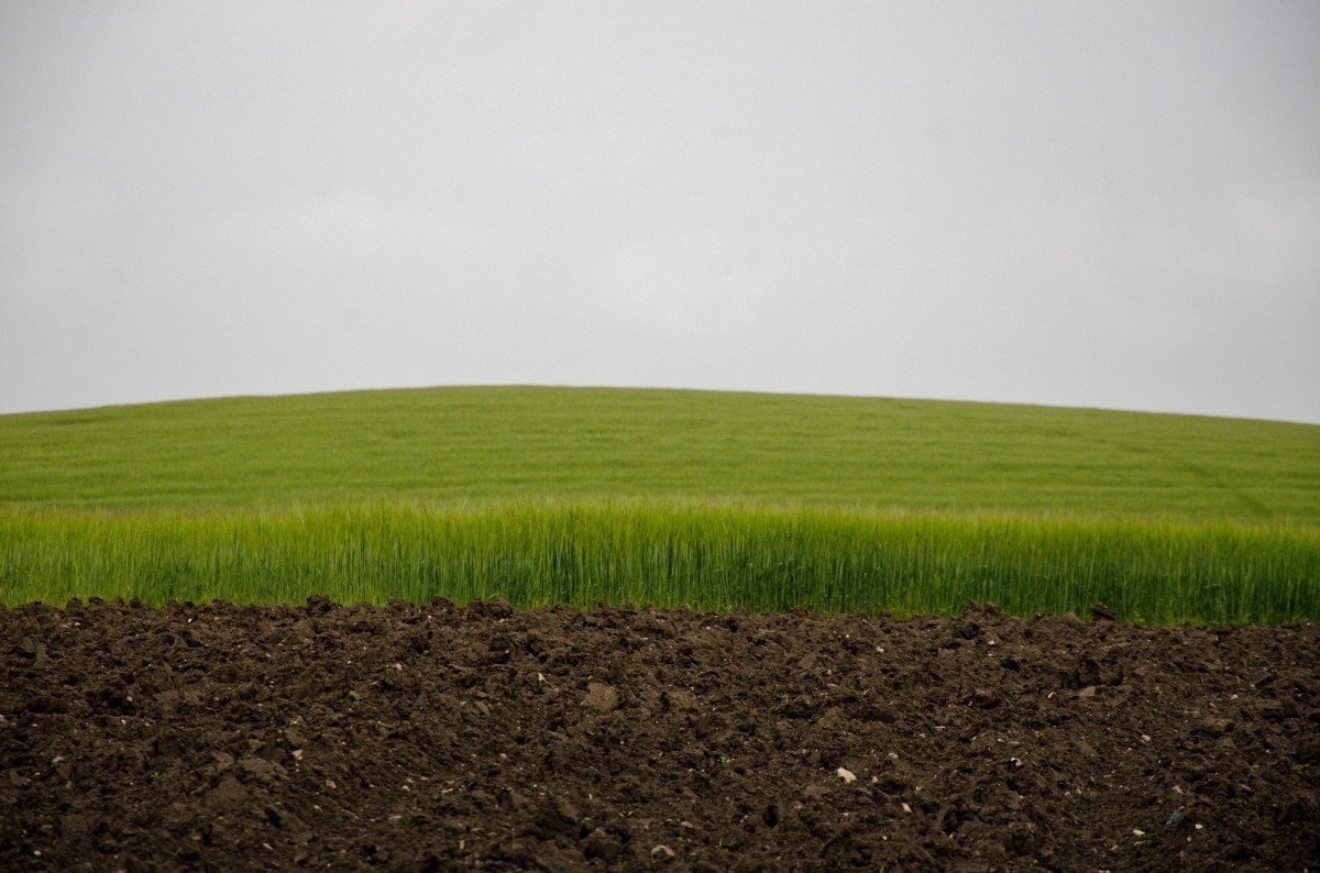 Земля с травой