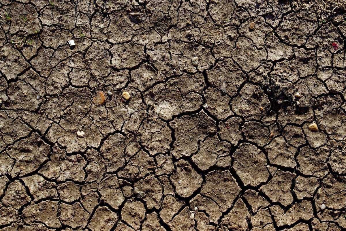 Почва текстура