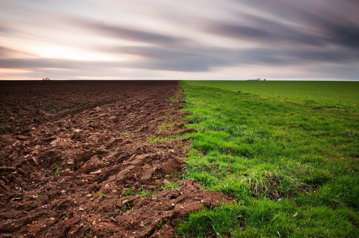 Сельскохозяйственный ландшафт