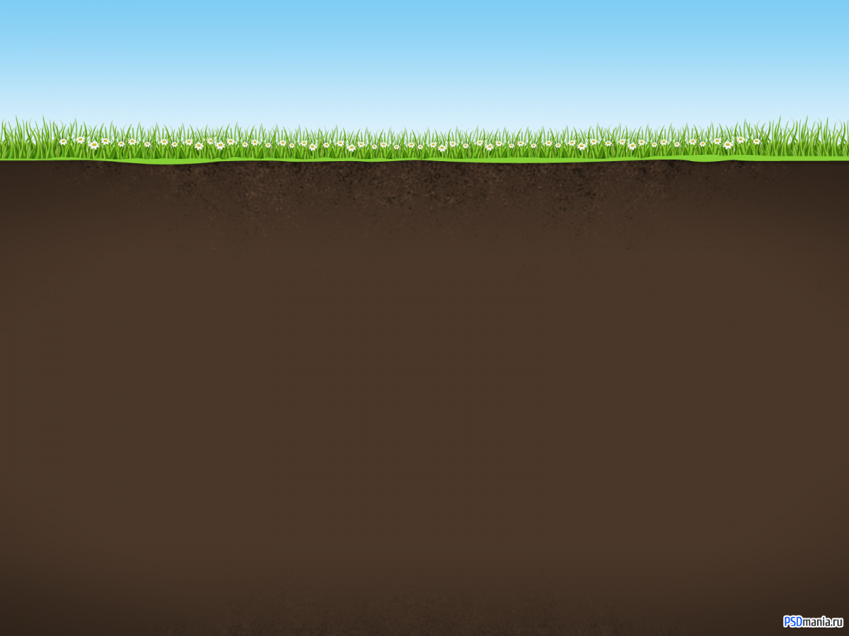 Нарисовать почву